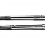 Round and flat straumann ZAGA implants