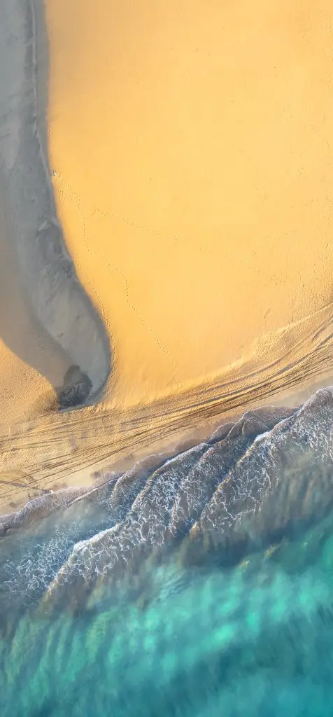 Landscape with Maspalomas sand dunes and Atlantic ocean