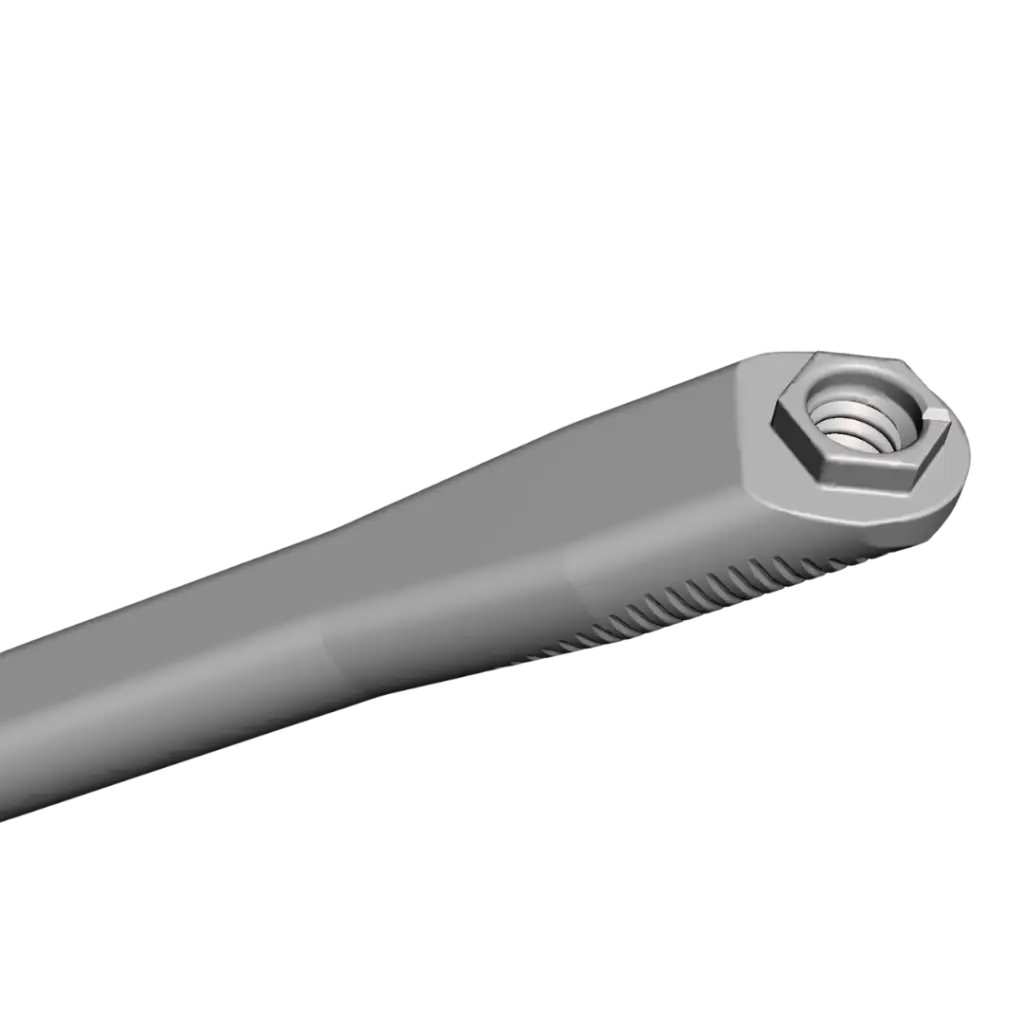 Flattened shaft Straumann implant