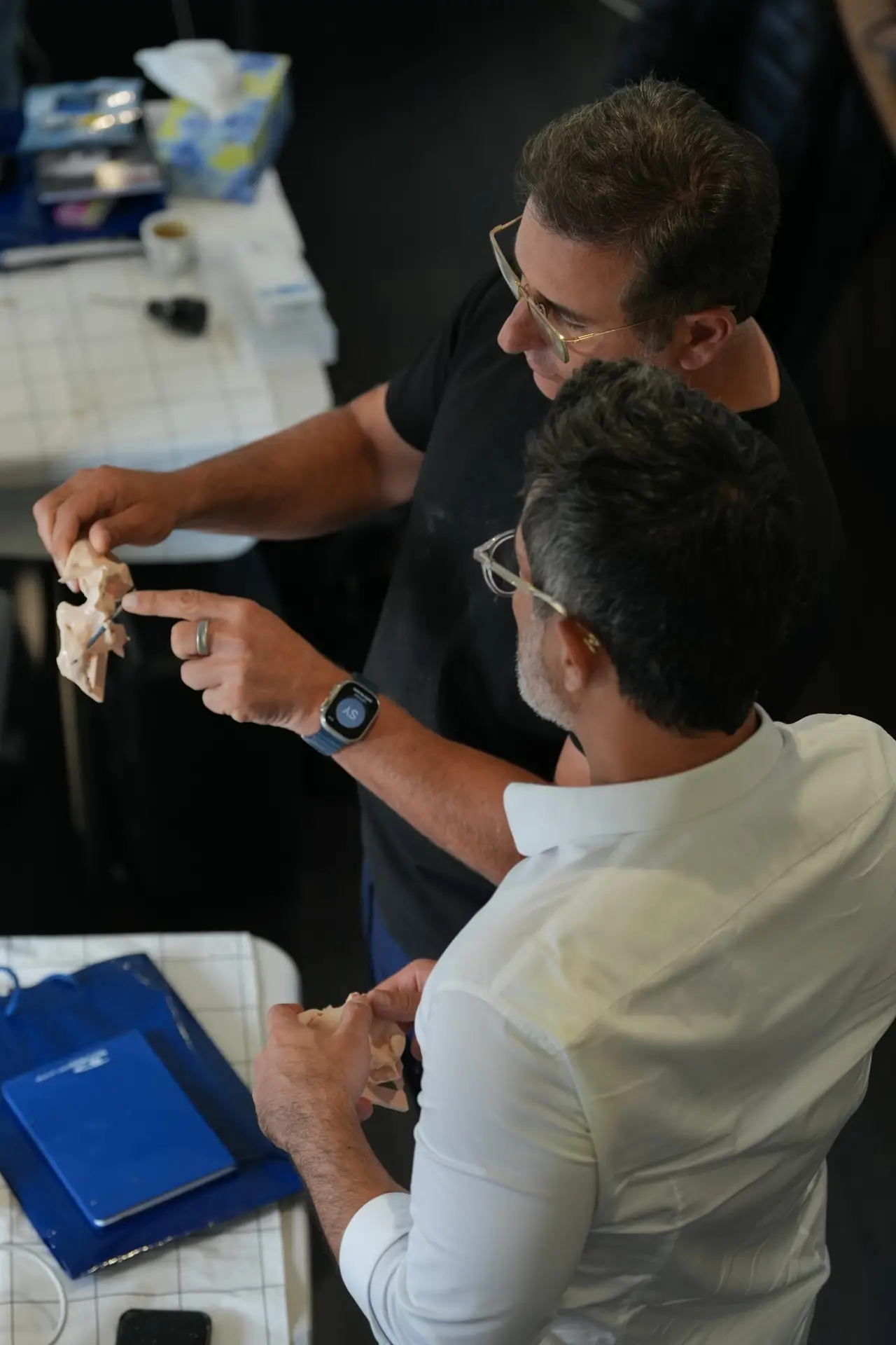 3d Hands-on Australia zygomatic implants