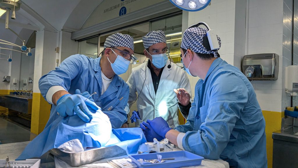 participants during cadaver hands-on experience - ZAGA Course