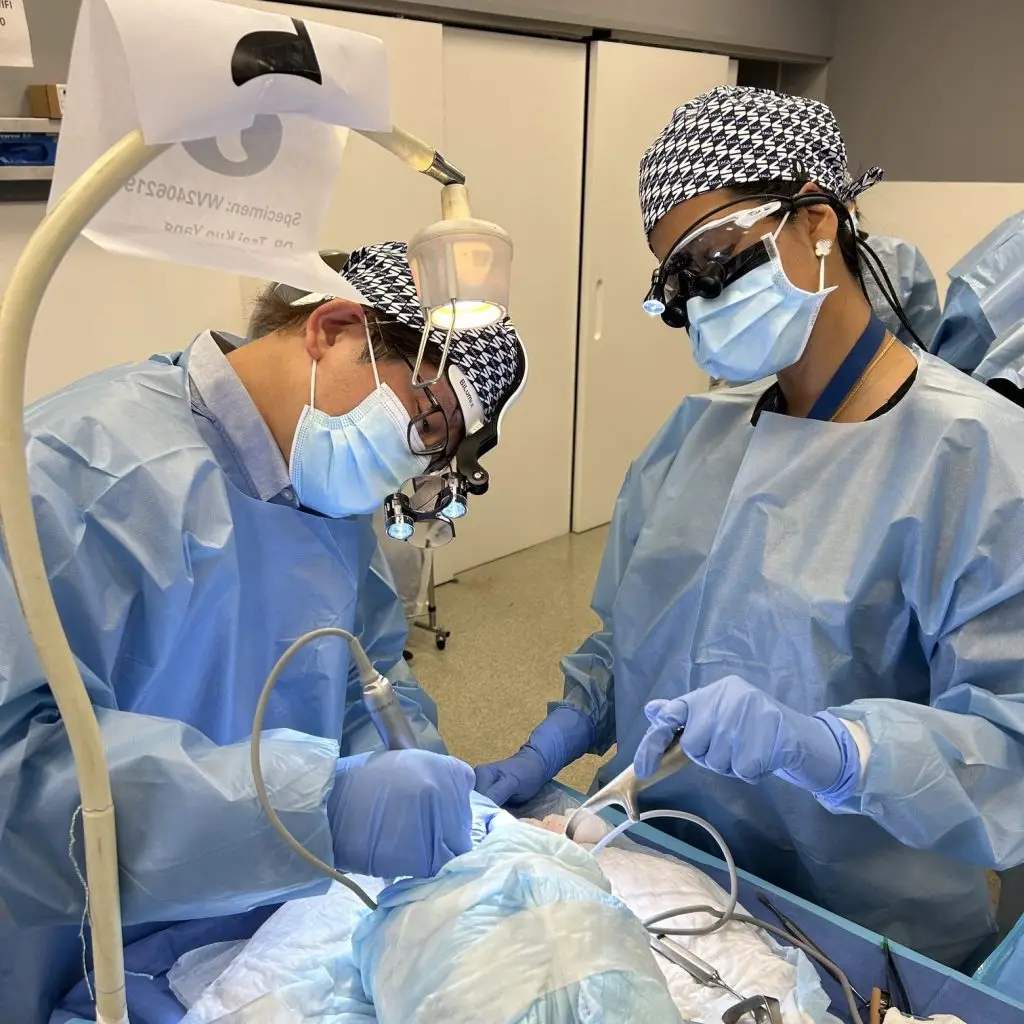 Participants during the hands-on traning with cryopreserved human heads.