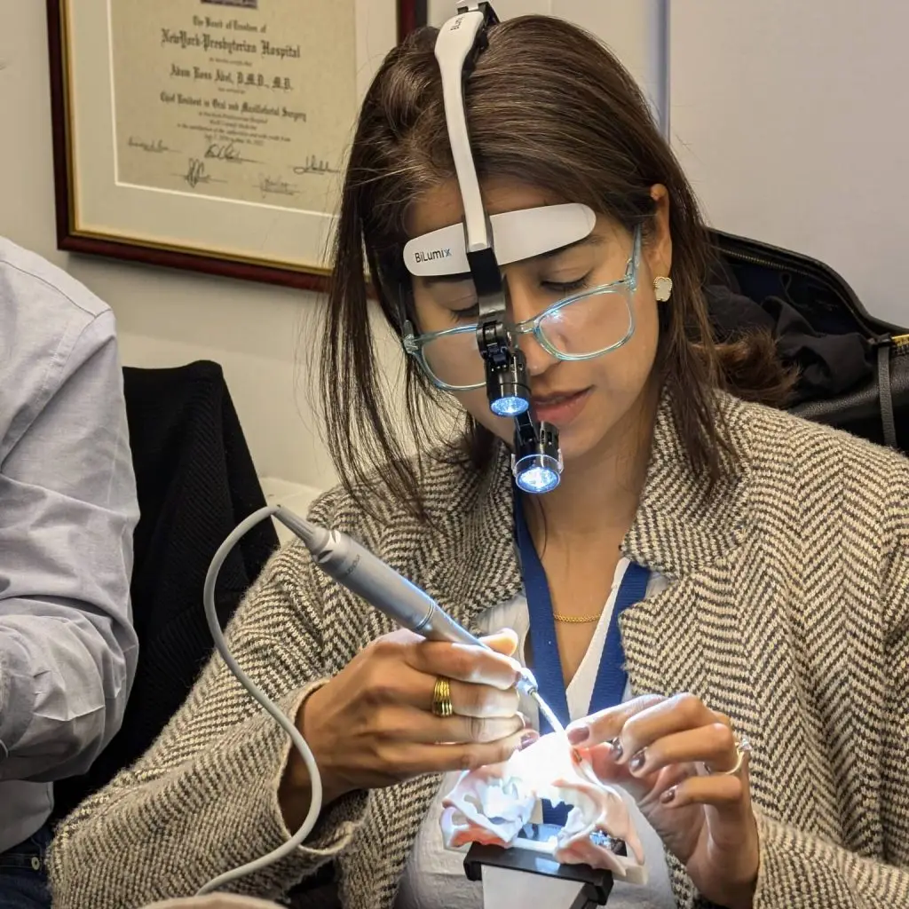 Participant during the hands-on traning with 3D Models