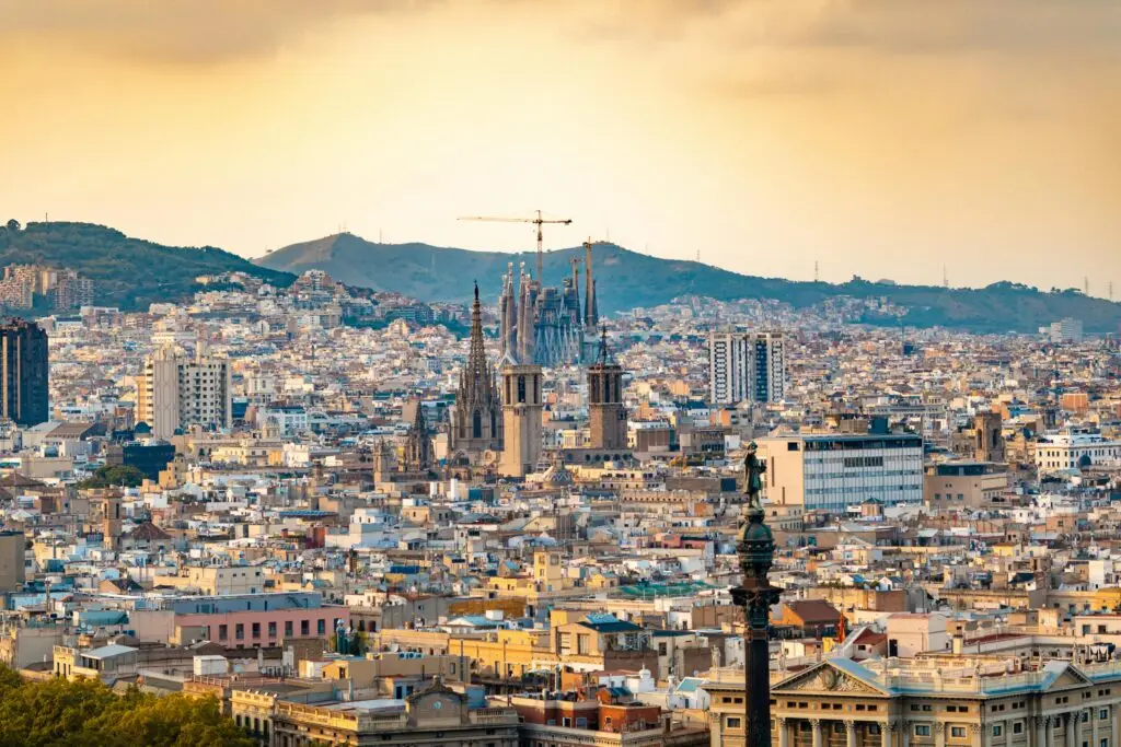 ZAGA Cadaver Course BCN Jan. 2026