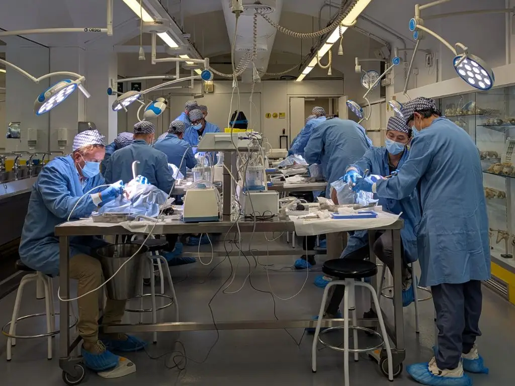 Participants in the dissection room