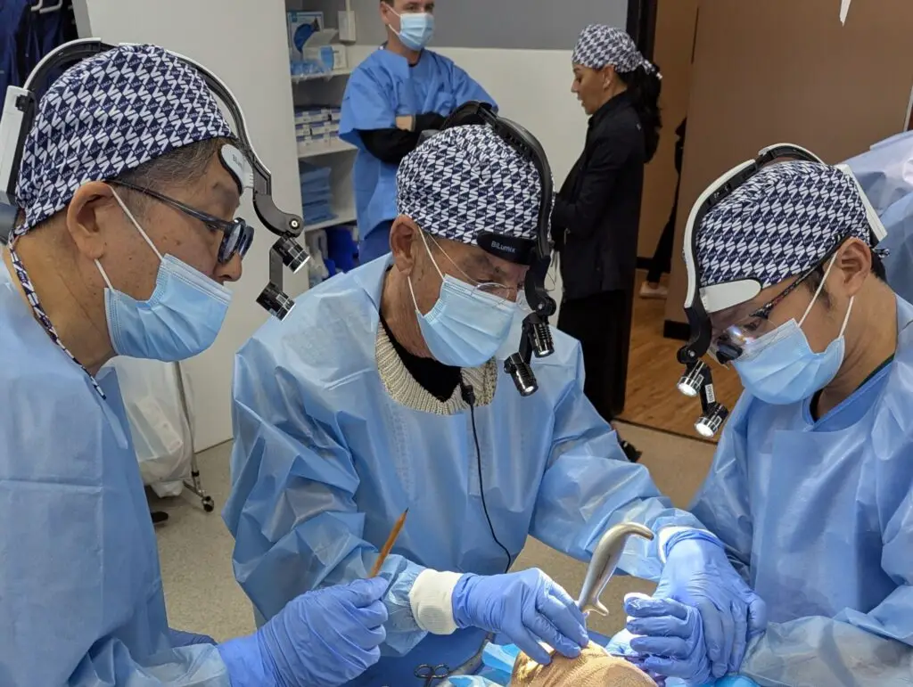 Hands-on session with cryopreserved heads
