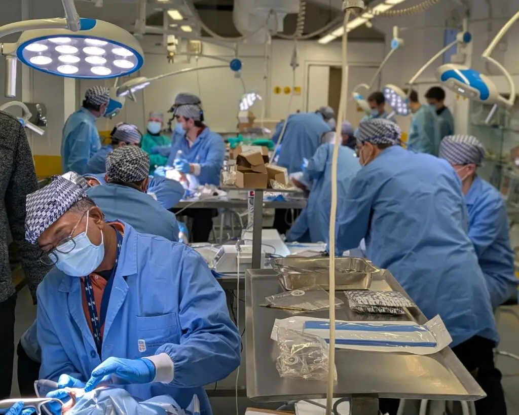 All the participants during the hands-on