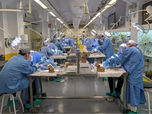 Participants performing zygomatic implant surgery on cryopreserved heads at the University of Barcelona Faculty of Medicine