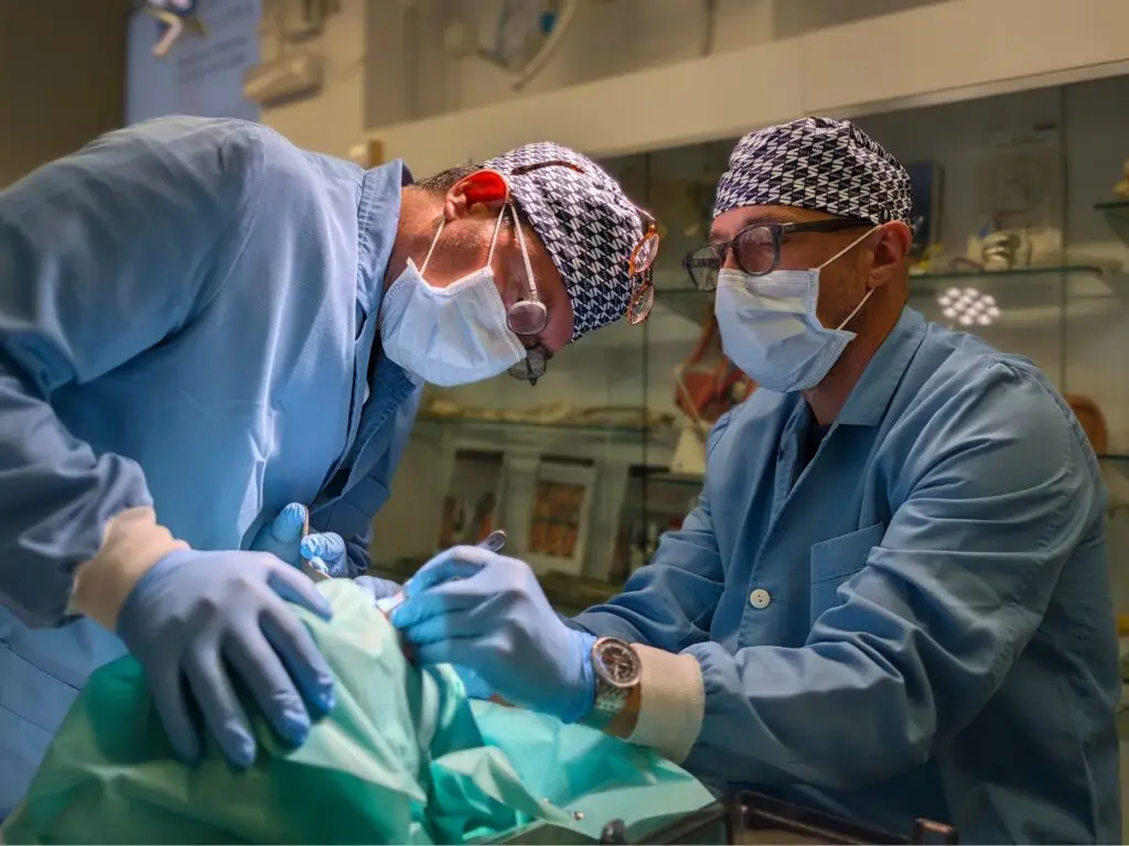 Participants during the hands-on cadaveric training session with cryopreserved specimens